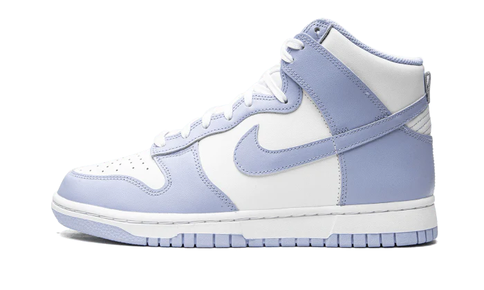 Nike Dunk High Aluminum (W) – soleHub