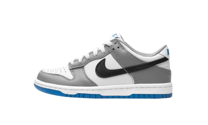 Nike Dunk Low Cool Grey Light Photo Blue (GS)