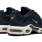 Nike Air Max Plus FFF