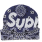 Supreme Bandana Big Logo Beanie Blue