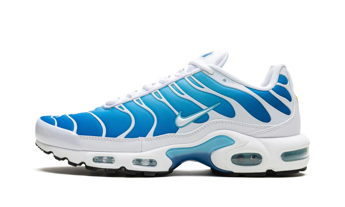 Nike Air Max Plus Sky Blue