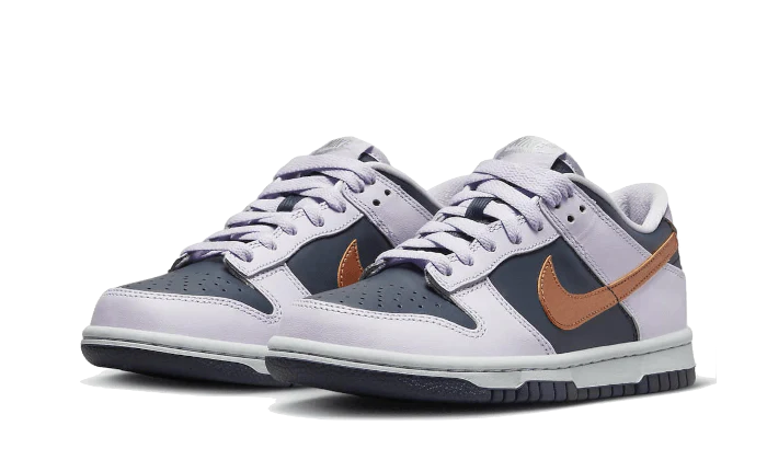 Nike Dunk Low SE Copper Swoosh (GS)