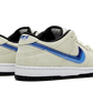 Nike SB Dunk Low Truck It